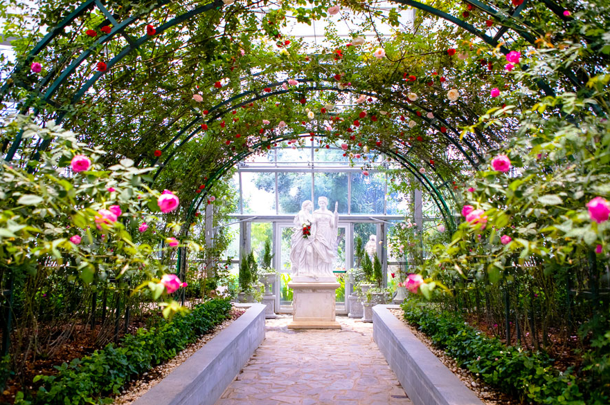 Choáng ngợp với Vương quốc hoa hồng 5000m2 tại The World Garden