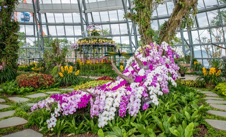 VinWonders-Nha-Trang-vuon-quy-vuong